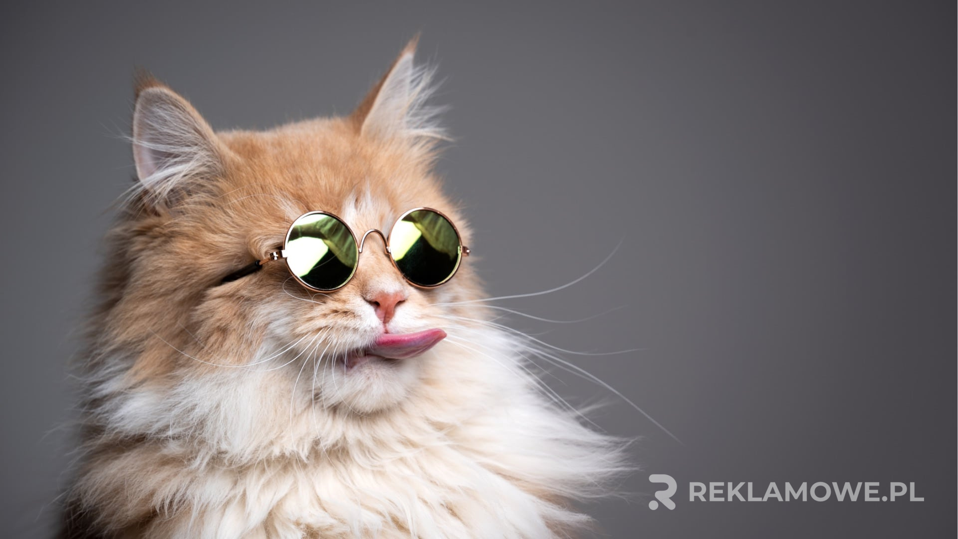 Okulary reklamowe jako narzędzie marketingowe B2B